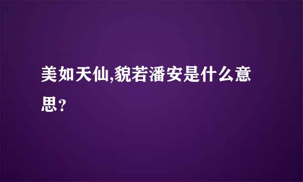 美如天仙,貌若潘安是什么意思？