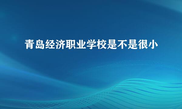 青岛经济职业学校是不是很小