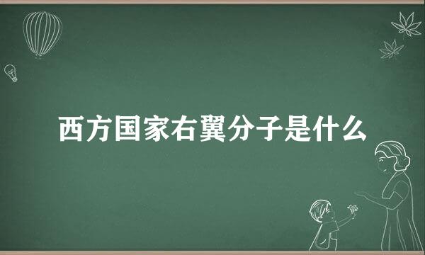 西方国家右翼分子是什么