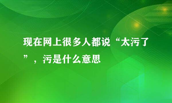 现在网上很多人都说“太污了”，污是什么意思