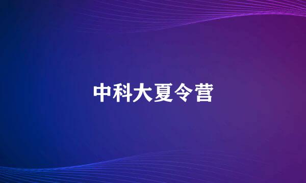 中科大夏令营