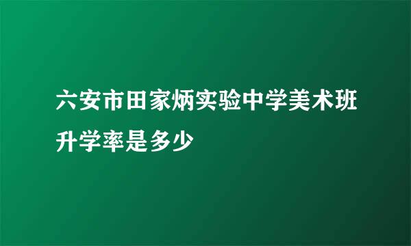 六安市田家炳实验中学美术班升学率是多少