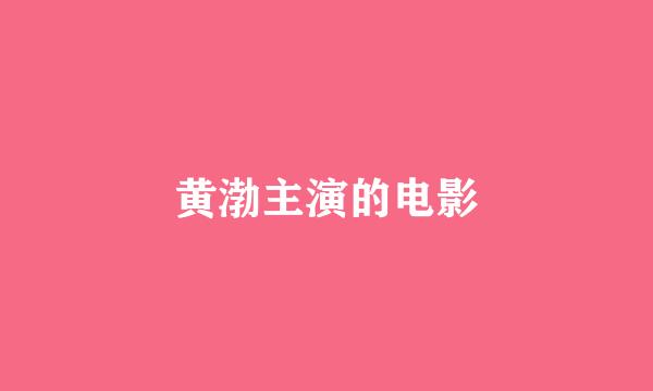 黄渤主演的电影