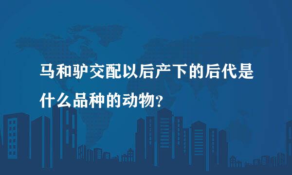 马和驴交配以后产下的后代是什么品种的动物？