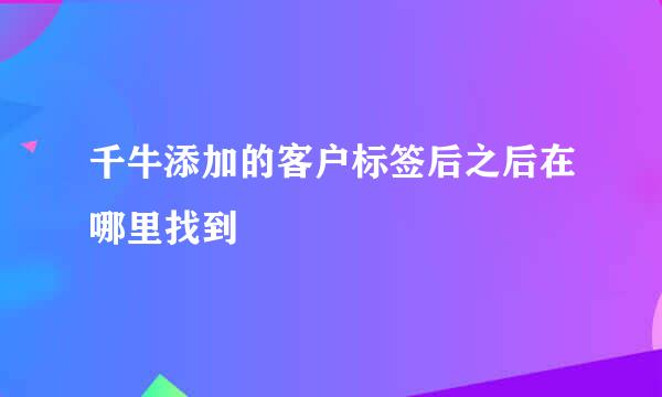 千牛添加的客户标签后之后在哪里找到