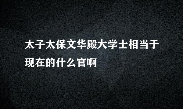 太子太保文华殿大学士相当于现在的什么官啊