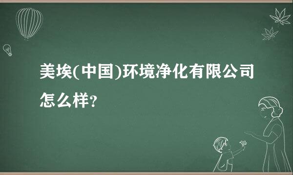 美埃(中国)环境净化有限公司怎么样？