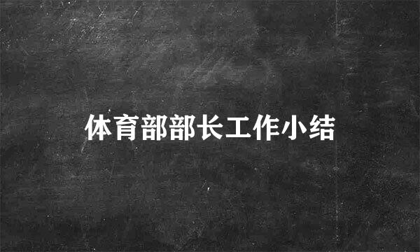 体育部部长工作小结