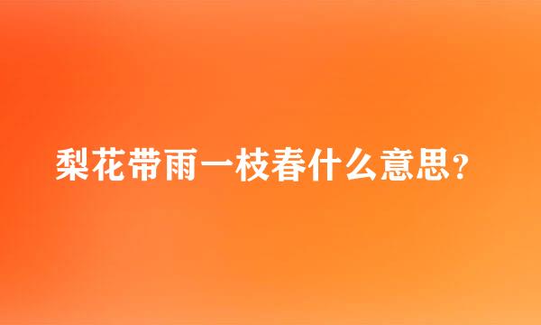 梨花带雨一枝春什么意思？