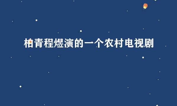 柏青程煜演的一个农村电视剧