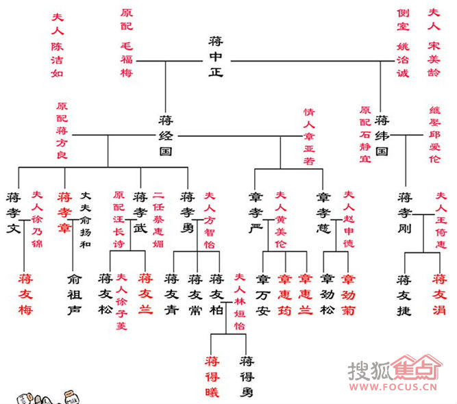 家谱图的家谱图的种类