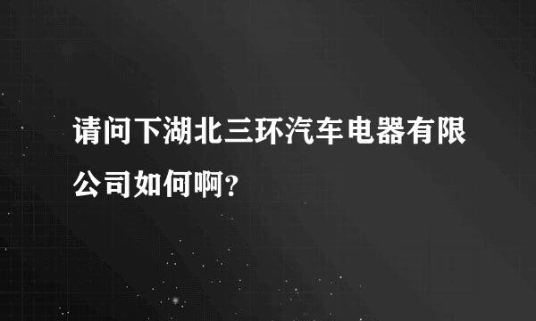 请问下湖北三环汽车电器有限公司如何啊？