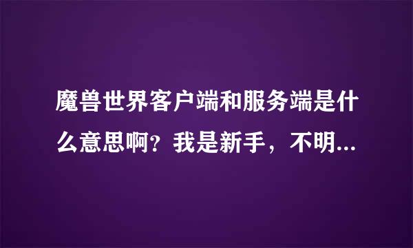 魔兽世界客户端和服务端是什么意思啊？我是新手，不明白请赐教。