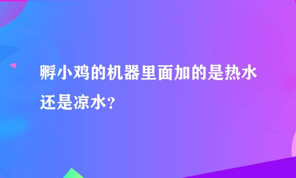 孵小鸡的机器里面加的是热水还是凉水？