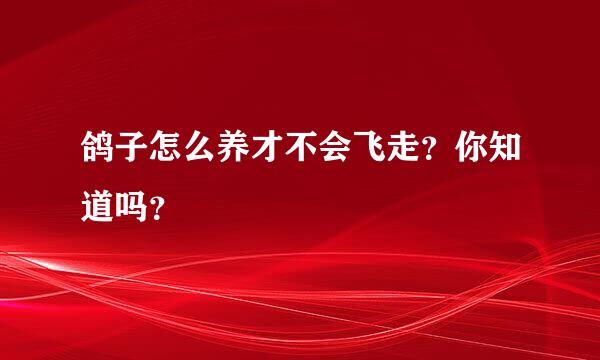 鸽子怎么养才不会飞走？你知道吗？