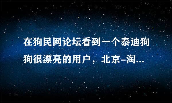 在狗民网论坛看到一个泰迪狗狗很漂亮的用户，北京-淘气，后来找到QQ联...