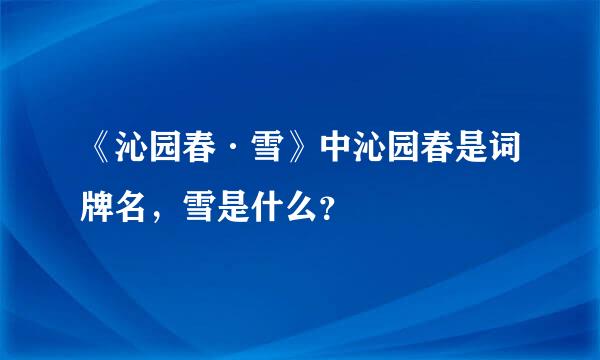 《沁园春·雪》中沁园春是词牌名，雪是什么？