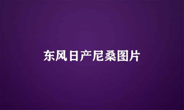 东风日产尼桑图片