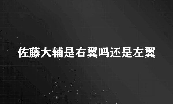 佐藤大辅是右翼吗还是左翼