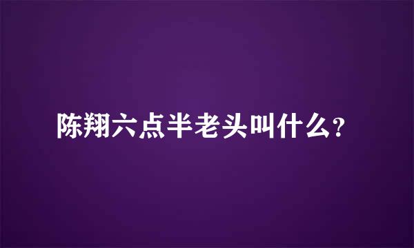 陈翔六点半老头叫什么？