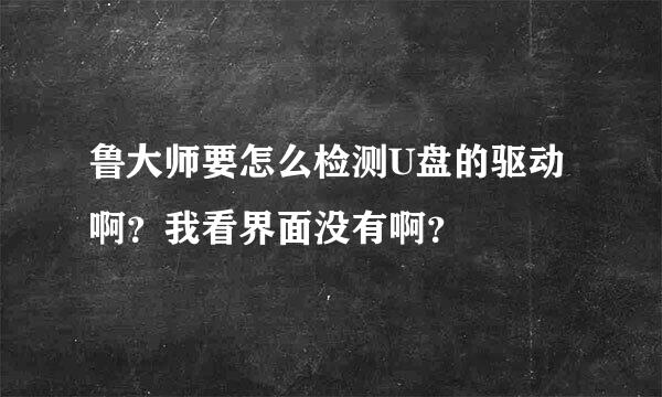 鲁大师要怎么检测U盘的驱动啊？我看界面没有啊？