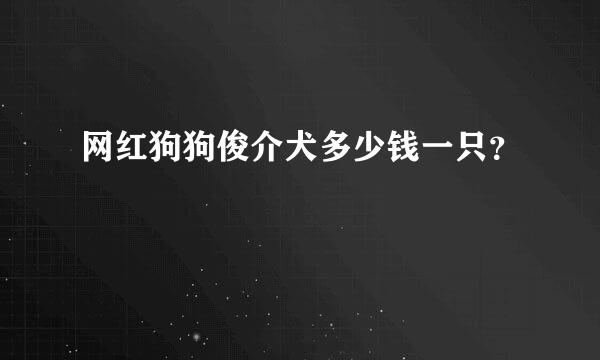 网红狗狗俊介犬多少钱一只？