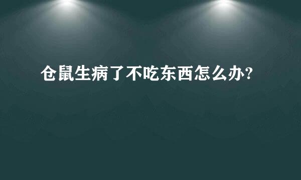 仓鼠生病了不吃东西怎么办?