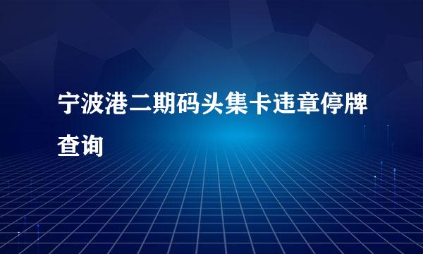 宁波港二期码头集卡违章停牌查询