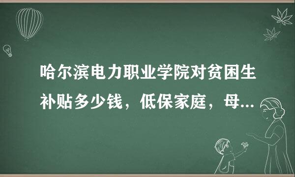 哈尔滨电力职业学院对贫困生补贴多少钱，低保家庭，母亲有重大疾病，（癌症。俩孩子念书）