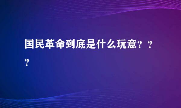 国民革命到底是什么玩意？？？