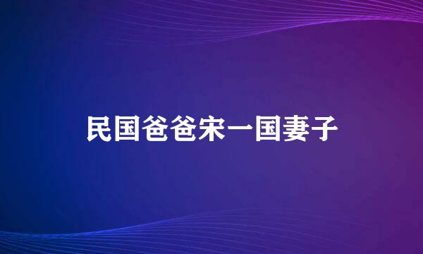 民国爸爸宋一国妻子