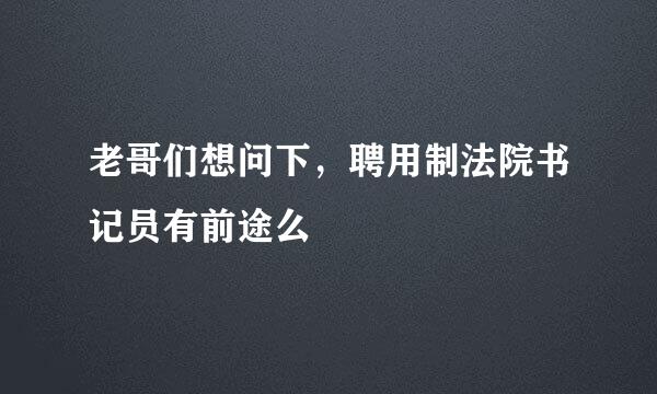 老哥们想问下，聘用制法院书记员有前途么