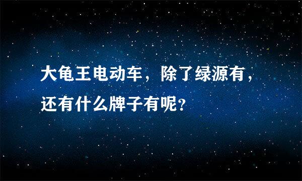 大龟王电动车，除了绿源有，还有什么牌子有呢？