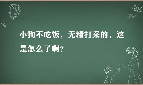 小狗不吃饭，无精打采的，这是怎么了啊？