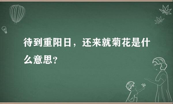 待到重阳日，还来就菊花是什么意思？