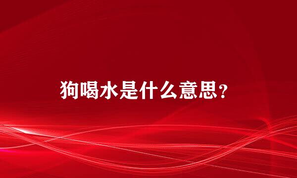 狗喝水是什么意思？