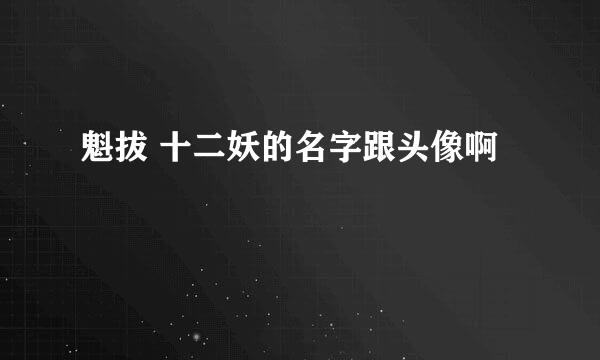 魁拔 十二妖的名字跟头像啊