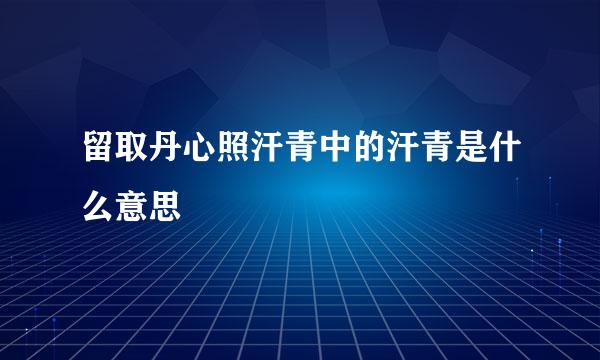 留取丹心照汗青中的汗青是什么意思