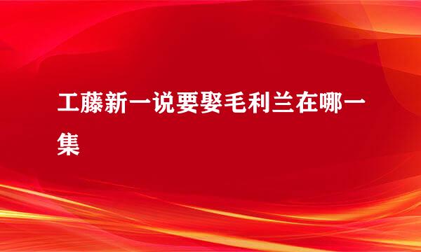 工藤新一说要娶毛利兰在哪一集