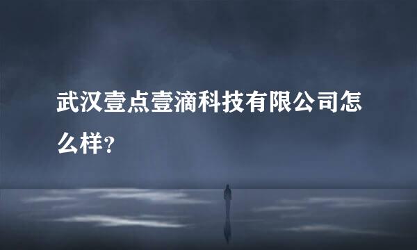 武汉壹点壹滴科技有限公司怎么样？