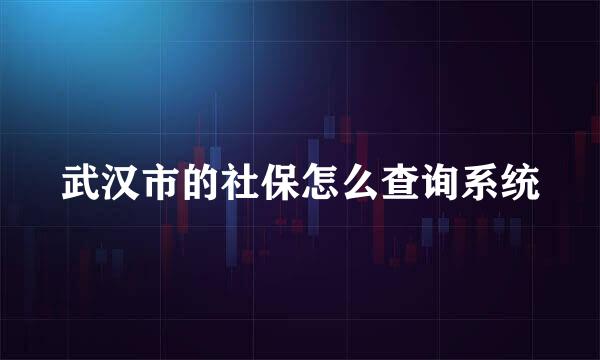 武汉市的社保怎么查询系统