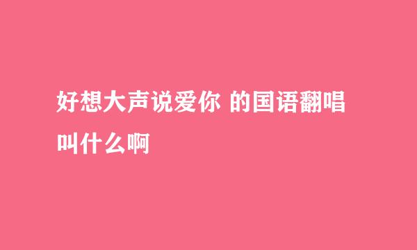 好想大声说爱你 的国语翻唱叫什么啊