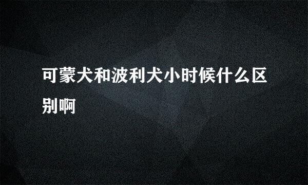 可蒙犬和波利犬小时候什么区别啊