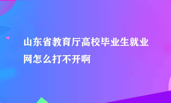 山东省教育厅高校毕业生就业网怎么打不开啊