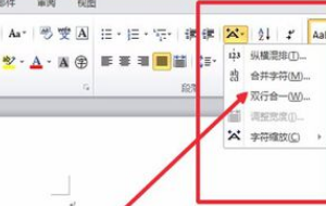 word2010双行合一怎么设置