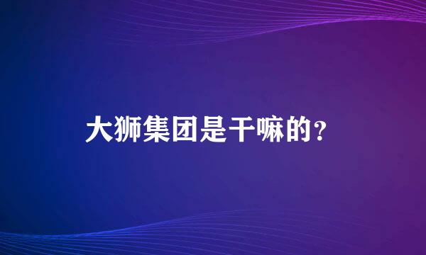 大狮集团是干嘛的？