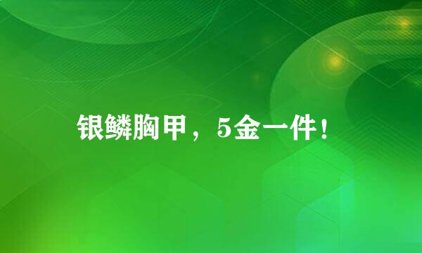 银鳞胸甲，5金一件！