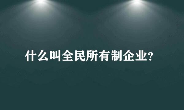 什么叫全民所有制企业？