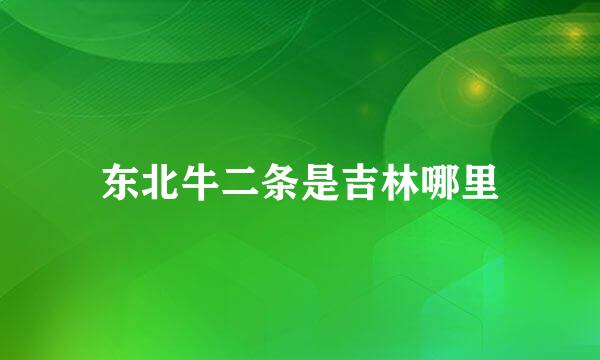 东北牛二条是吉林哪里