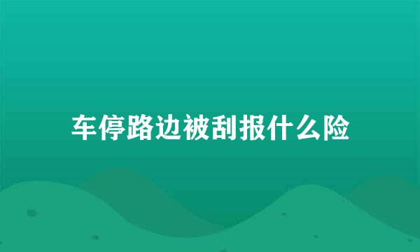 车停路边被刮报什么险